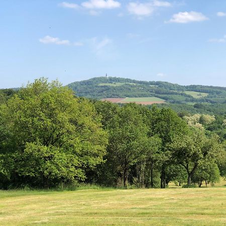 Ferienwohnung Maurer Hasborn-Dautweiler Exteriör bild