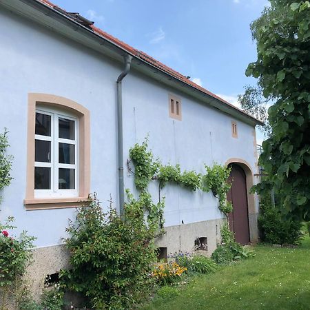 Ferienwohnung Maurer Hasborn-Dautweiler Exteriör bild