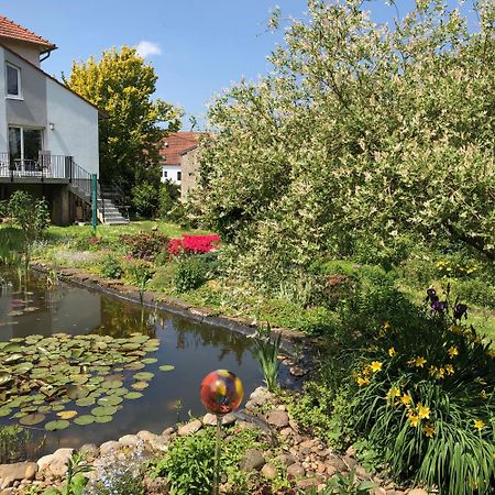 Ferienwohnung Maurer Hasborn-Dautweiler Exteriör bild