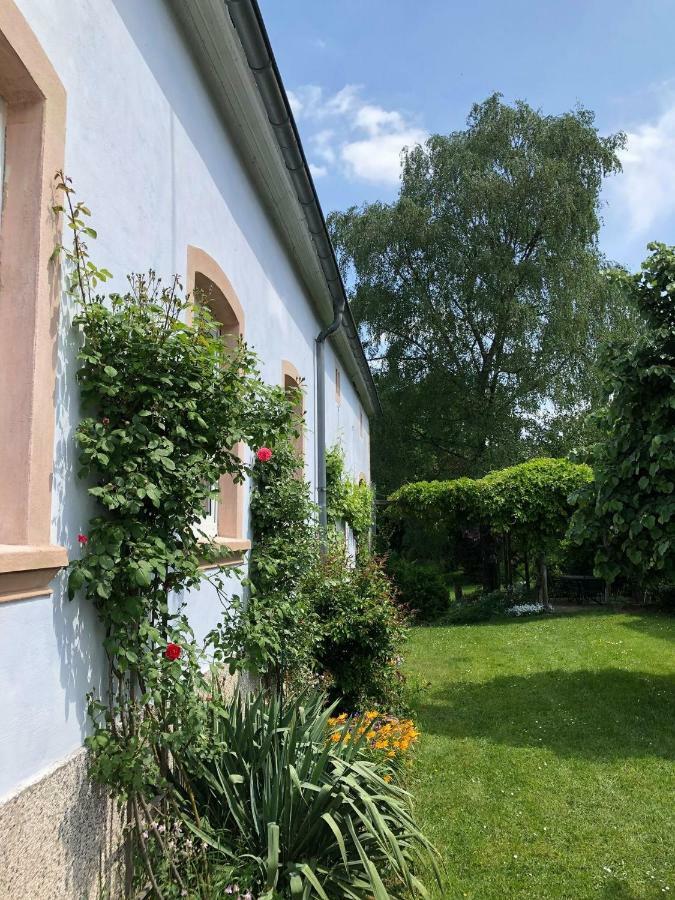 Ferienwohnung Maurer Hasborn-Dautweiler Exteriör bild