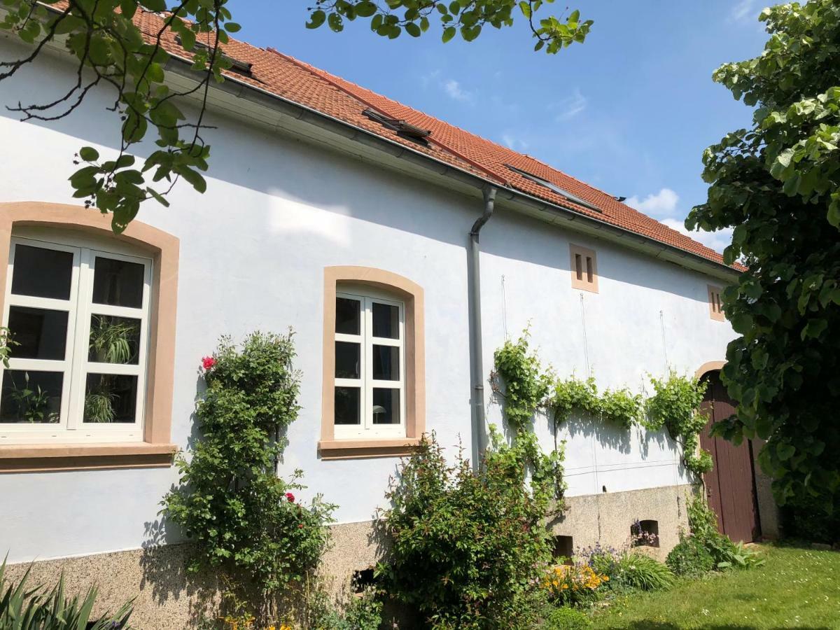 Ferienwohnung Maurer Hasborn-Dautweiler Exteriör bild
